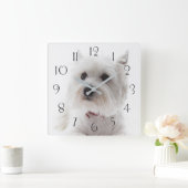 Adorable White West Highland Terrier Quadratische Wanduhr (Zuhause)
