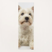Adorable White West Highland Terrier Yogamatte (Vorderseite)