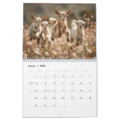 Adorable Wildlife Photography | Baby Animals Wall Kalender (Mär 2026)