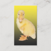 Adorable Yellow Duckling Fotografie Visitenkarte (Vorderseite)