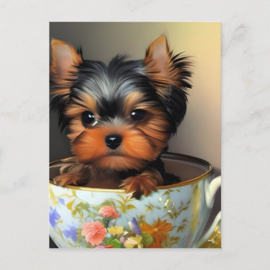 Adorable Yorkie in einem Teacup Postkarte (Vorderseite)