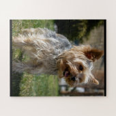Adorable Yorkie Mia Puzzle (Horizontal)
