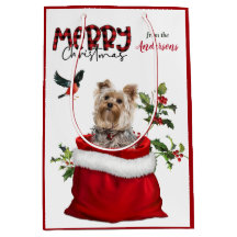 Adorable Yorkshire Terrier Dog Weihnachten