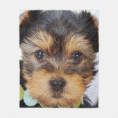 Adorable Yorkshire Terrier Fleecedecke (Vorderseite)