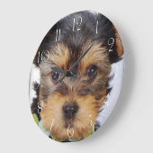 Adorable Yorkshire Terrier Große Wanduhr (Winkel)