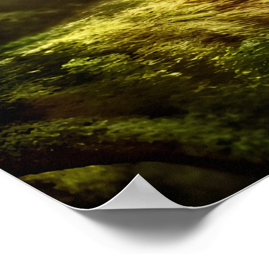 Adorable Zebra im Wald | AI Art Poster (Ecke)