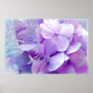 Adoration, Lila Hydrangea Poster