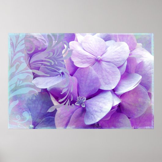 Adoration, Lila Hydrangea Poster (Vorne)