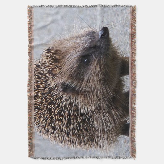 Adordierter junger Igel Decke (Vorderseite Vertikal)