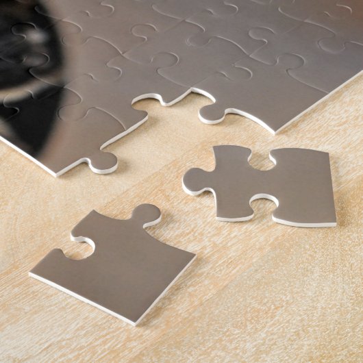 Adortable Arachnid Spider Macro Foto Puzzle (Seite)