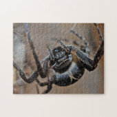 Adortable Arachnid Spider Macro Foto Puzzle (Horizontal)