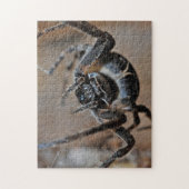 Adortable Arachnid Spider Macro Foto Puzzle (Vertikal)