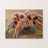 Adortable Arachnid Tarantula Spider Foto Puzzle (Horizontal)