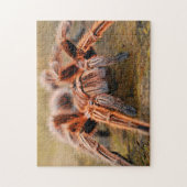Adortable Arachnid Tarantula Spider Foto Puzzle (Vertikal)