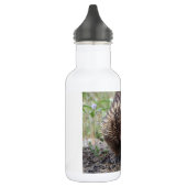 Adortable australische Echidna Edelstahlflasche (Links)