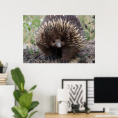 Adortable australische Echidna Poster (Heimbüro)