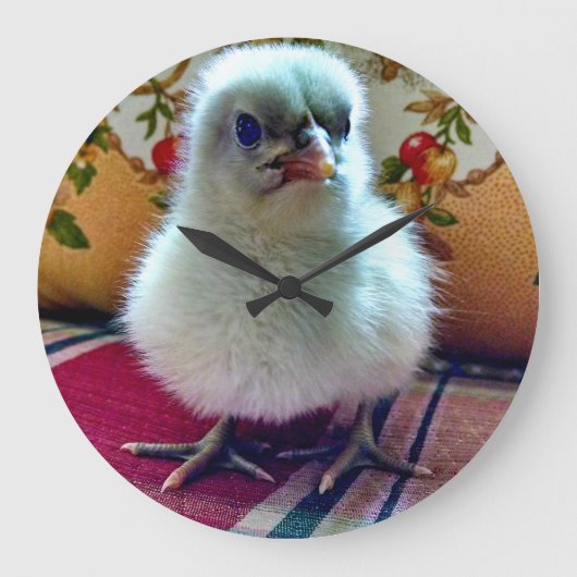 Adortable Baby Chick Wall Uhr (Vorderseite)