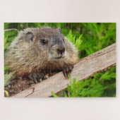 Adortable Baby Groundhog / Woodchuck Up Nah Puzzle (Horizontal)