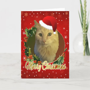Adortable Cat in der Weihnachtsmannmütze Weihnacht Feiertagskarte