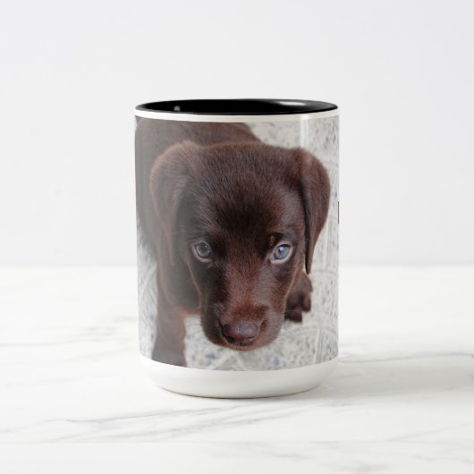 Adortable Chocolate Labrador Retriever Welpe Zweifarbige Tasse (Mittel)