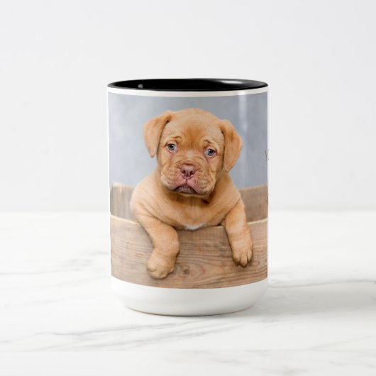 Adortable Dogue de Bordeaux Zweifarbige Tasse (Mittel)