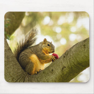 Adortable Eichhörnchenmuse Mousepad