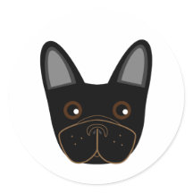 Adortable French Bulldog Face