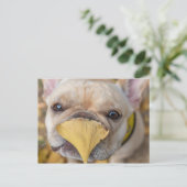 Adortable French Bulldog Postkarte (Stehend Vorderseite)