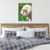 Adortable Goat Kid Canvas Print Leinwanddruck (Insitu (Schlafzimmer))