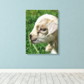 Adortable Goat Kid Canvas Print Leinwanddruck (Insitu (Holzboden))