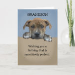 Adortable Grandson Birthday Card Karte<br><div class="desc">Adorable Enkelson Geburtstagskarte,  die mit Ihrer personalisierten Nachricht anpassbar ist.</div>