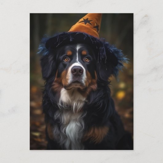Adortable Halloween Berner Hund Postkarte (Vorderseite)