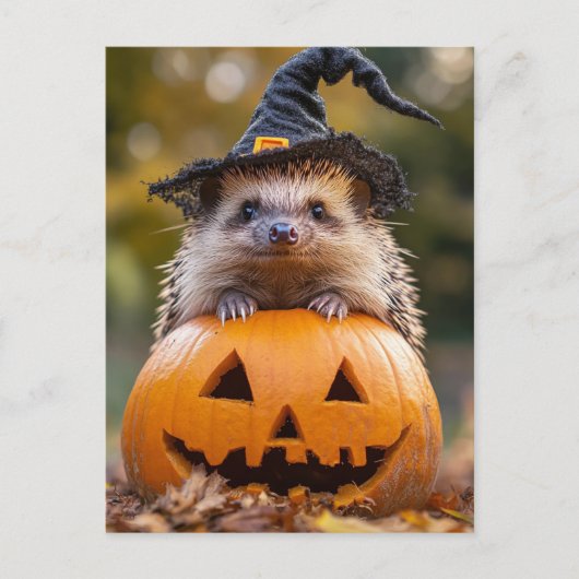 Adortable Halloween-Igel Postkarte (Vorderseite)