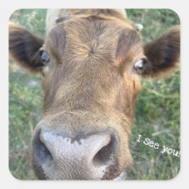 Adortable Kuh ist Nosey Sticker