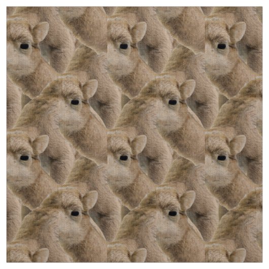 Adortable Niedlich Baby Camel Pattern Fabric - Cus Stoff (Muster)