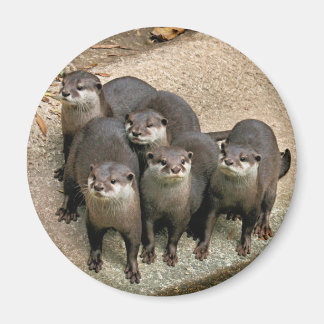 Adortable Otter Family Magnet