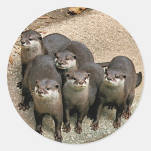 Adortable Otter Family Runder Aufkleber