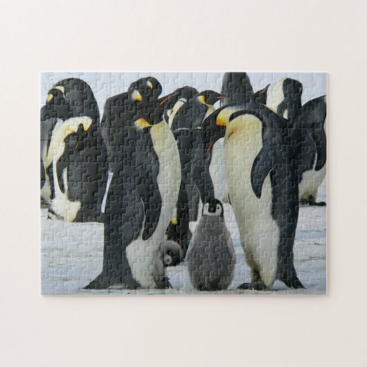 Adortable Penguin Arktis Puzzle (Horizontal)
