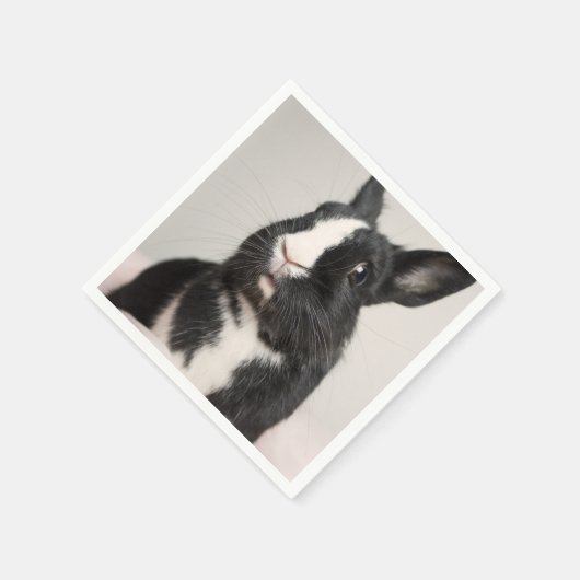 Adortable Schwarz-Weiß-Kaninchen Serviette (Ecke)