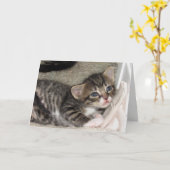 Adortable Tabby Grußkarte Karte (Gelbe Blume)