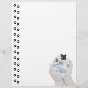 Adortable Tiny Newborn Welppy Letterhead