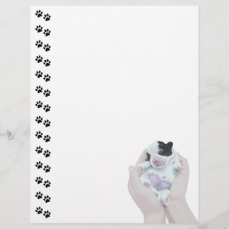 Adortable Tiny Newborn Welppy Letterhead