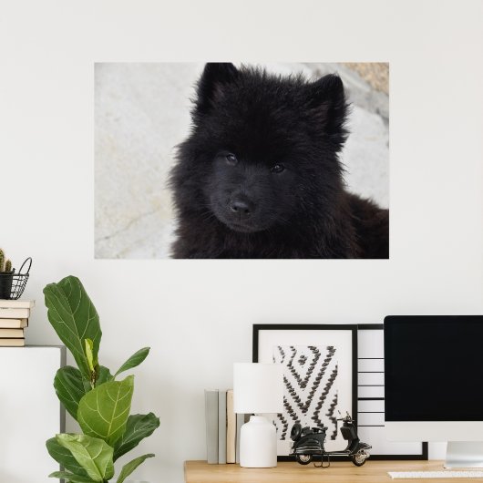 Adortable Welpe Poster (Heimbüro)