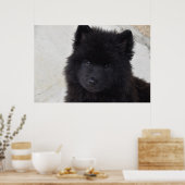 Adortable Welpe Poster (Küche)