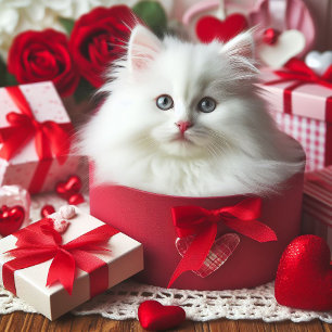 Adortable White Kitten in Box Funny Valentine Feiertagskarte