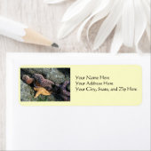 Adressangaben: Starfish (Insitu)