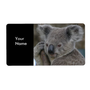 Adressaufkleber Koala-Bären