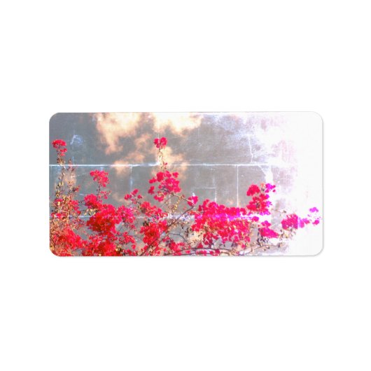 ADRESSE ETIKETTEN COOL ECO STYLE DESIGN ADRESSAUFKLEBER (Vorne)