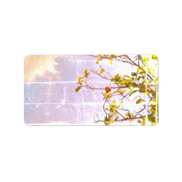 ADRESSE ETIKETTEN COOL ECO STYLE ESIGN ADRESSAUFKLEBER