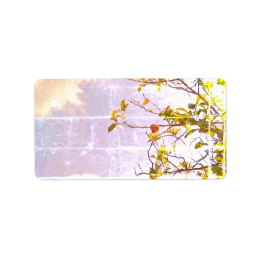 ADRESSE ETIKETTEN COOL ECO STYLE ESIGN ADRESSAUFKLEBER (Vorne)